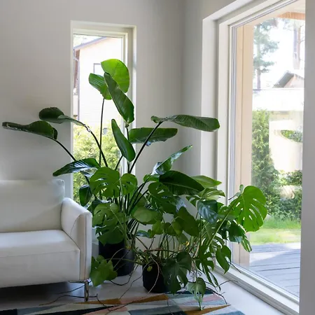 Brand New House With Parking, Sauna, Patio *