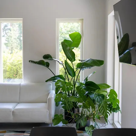 Brand New House With Parking, Sauna, Patio 度假居