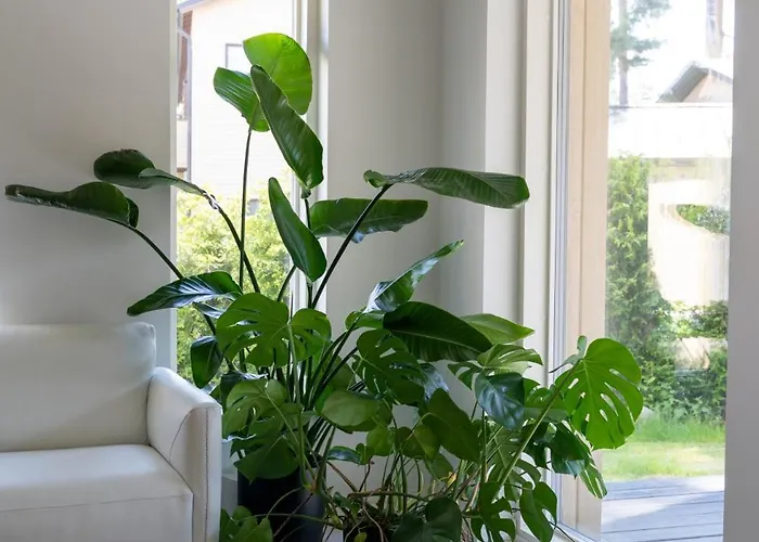 Brand New House With Parking, Sauna, Patio *