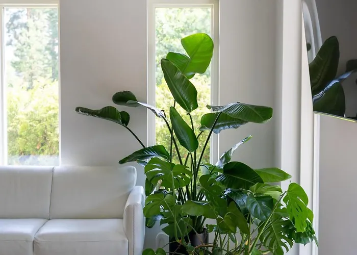 Brand New House With Parking, Sauna, Patio Casa vacanze